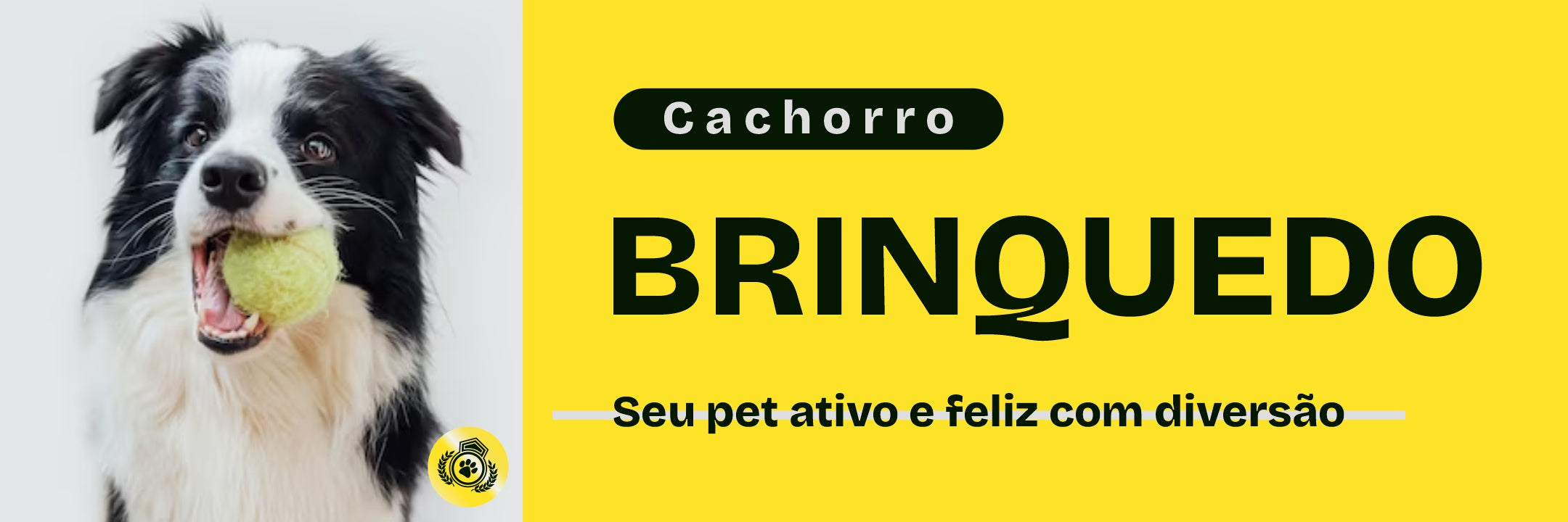 Brinquedo para Cachorro