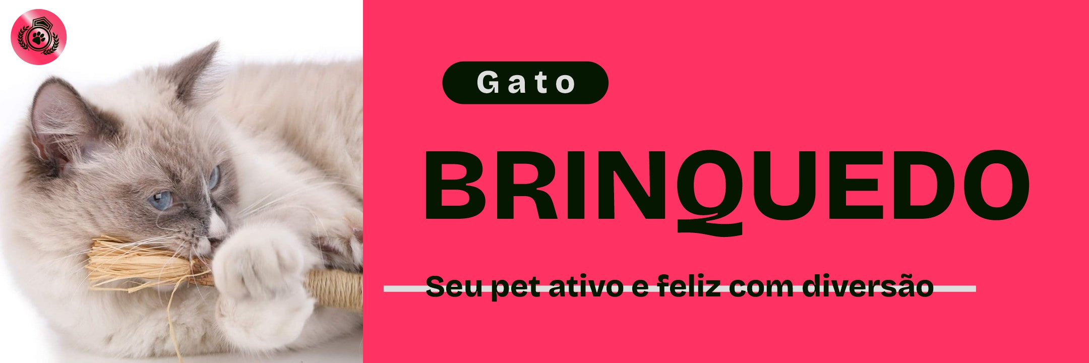 Brinquedo para Gato