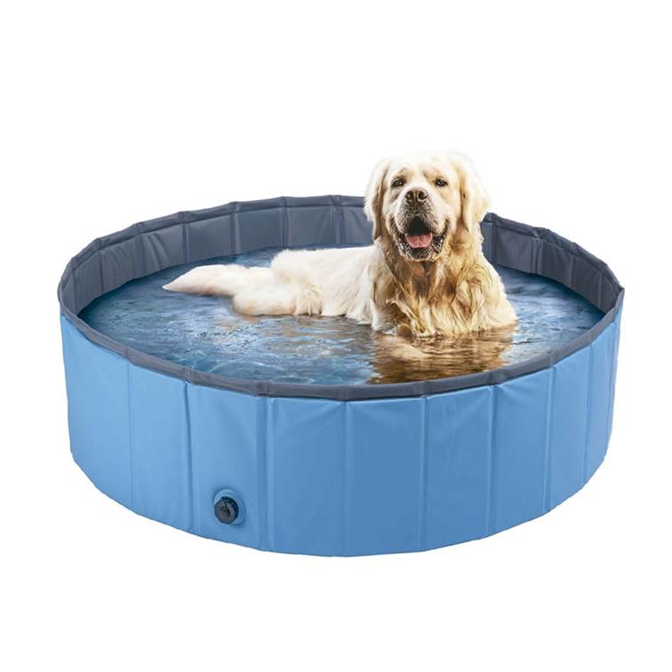 Piscina para Cães Meu Pet 80x20cm Sortido