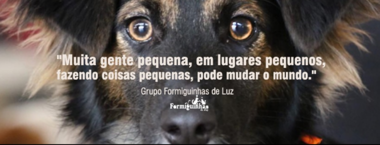 Formiguinhas de Luz