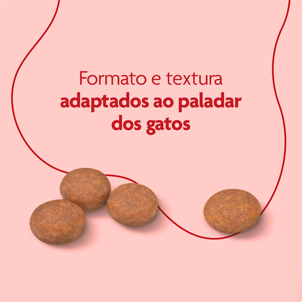 Ração Royal Canin Super Premium Cat para Gatos Adultos Castrados 1kg