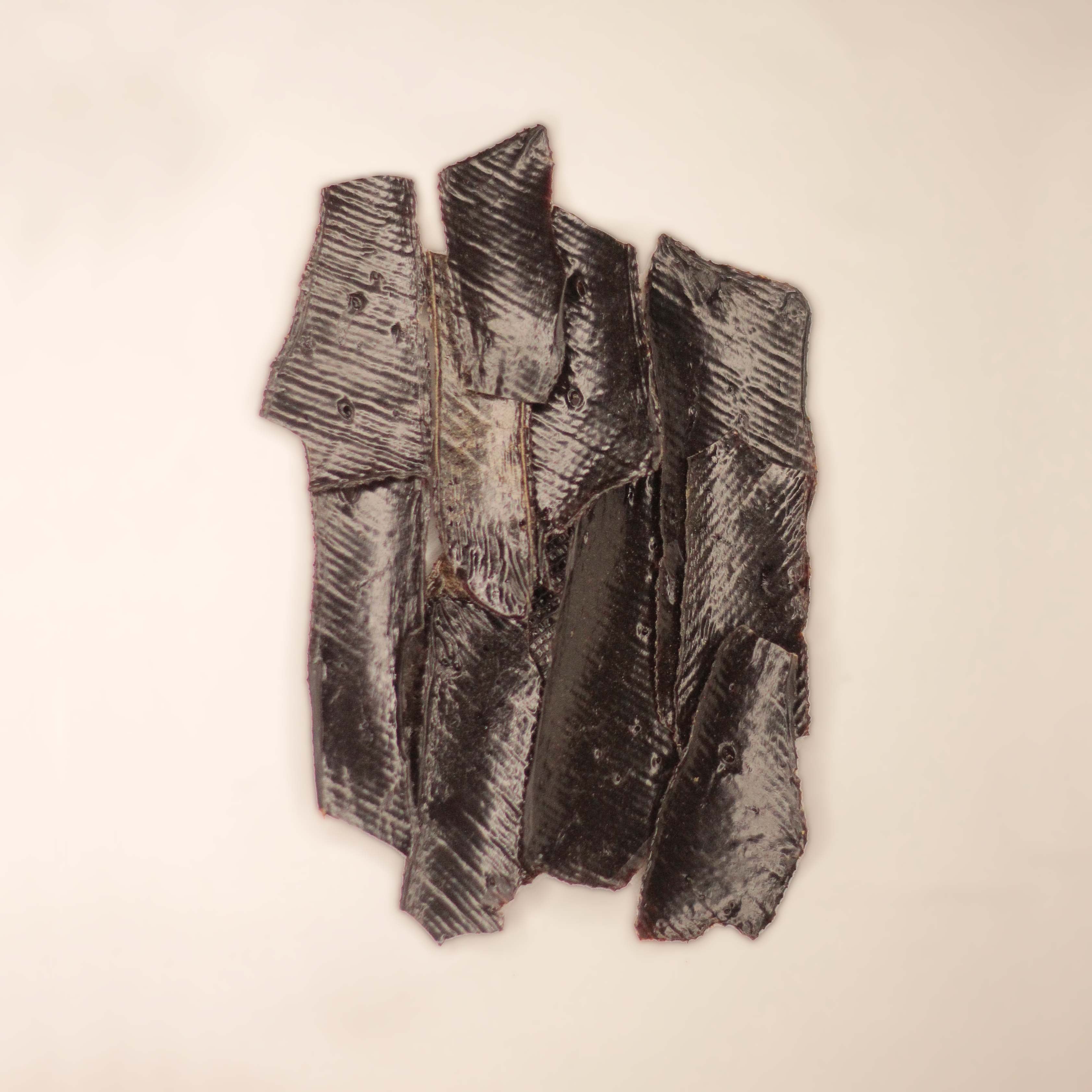 Petisco Natural Cão Nutri Bifinhos Desidratados de Fígado 60g