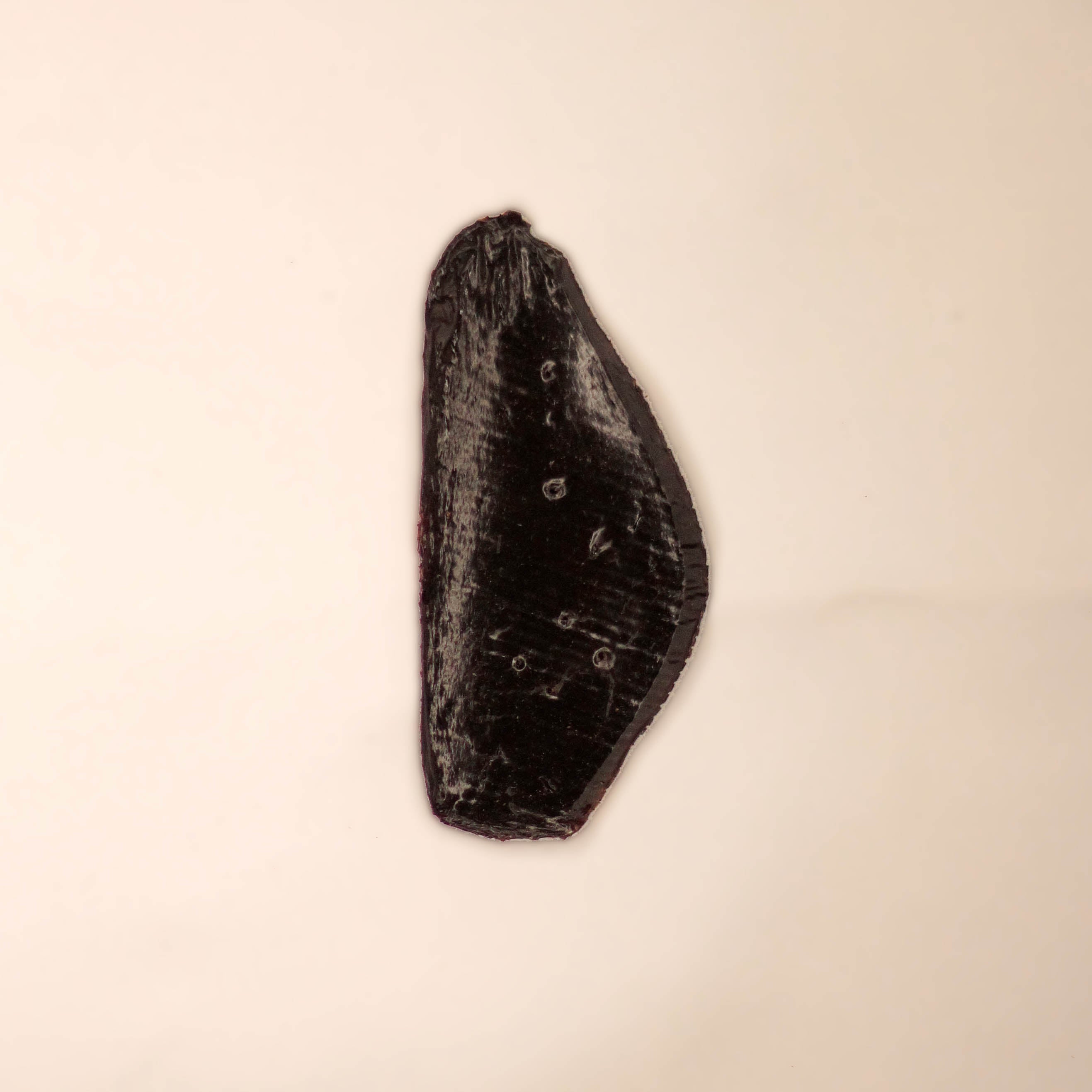 Petisco Natural Cão Nutri Bifinhos Desidratados de Fígado 60g