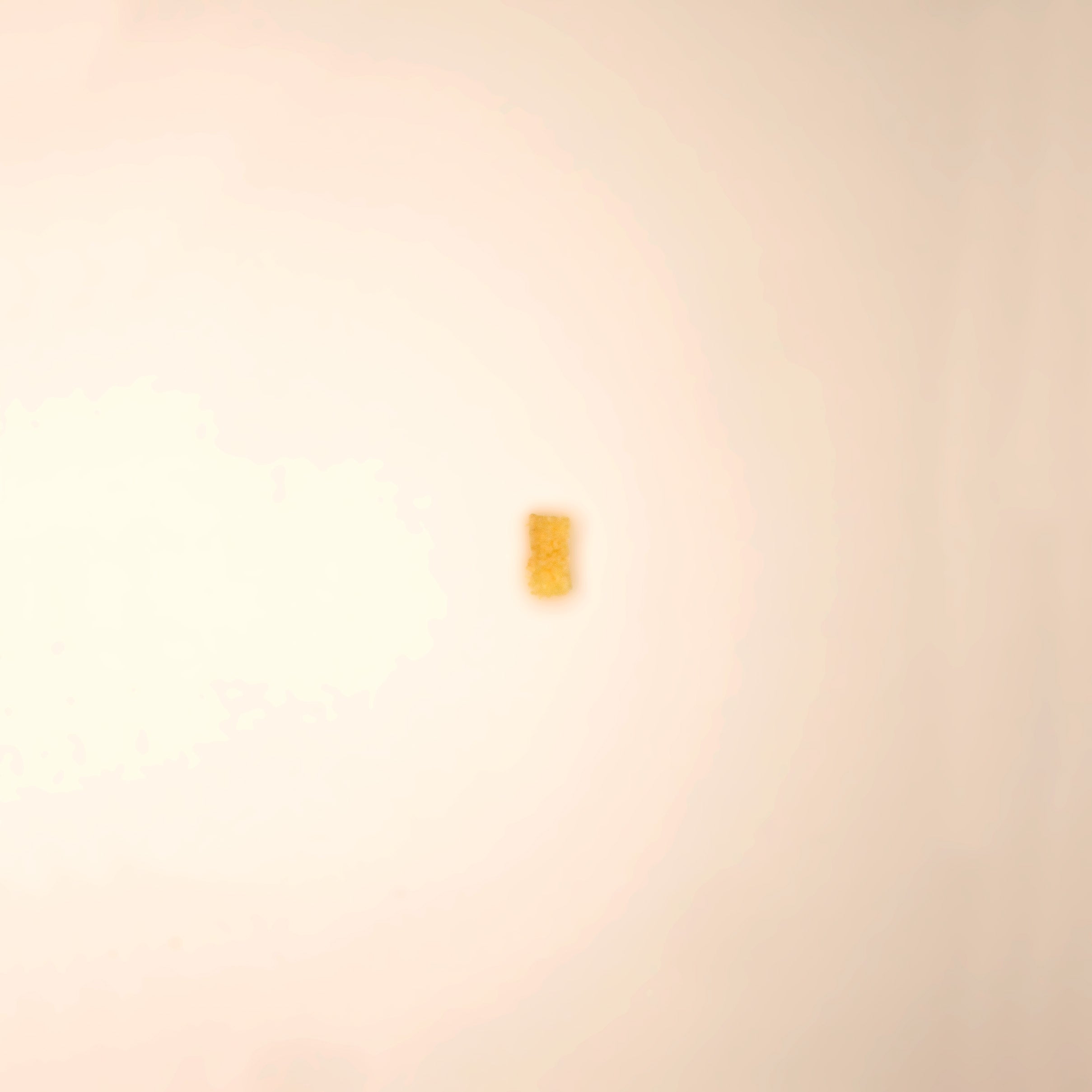 Petisco Natural Cão Nutri Bites de Bucho Bovino 60g