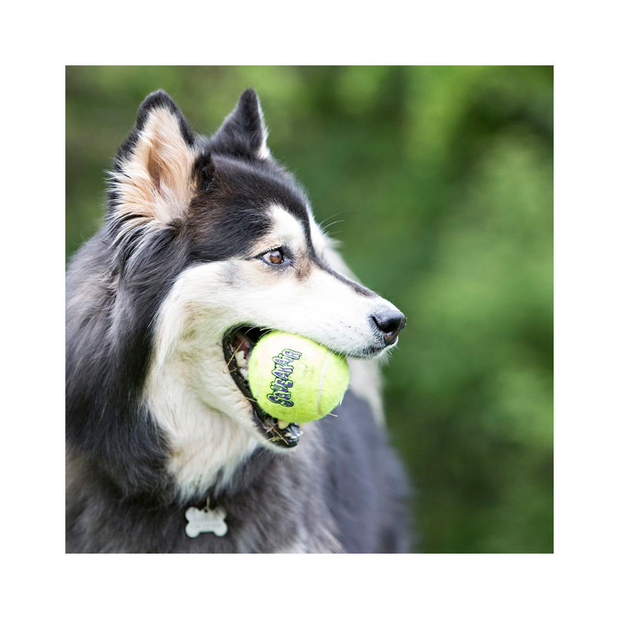Brinquedo para Cachorro KONG AirDog Squeakair Bola de Tênis Grande