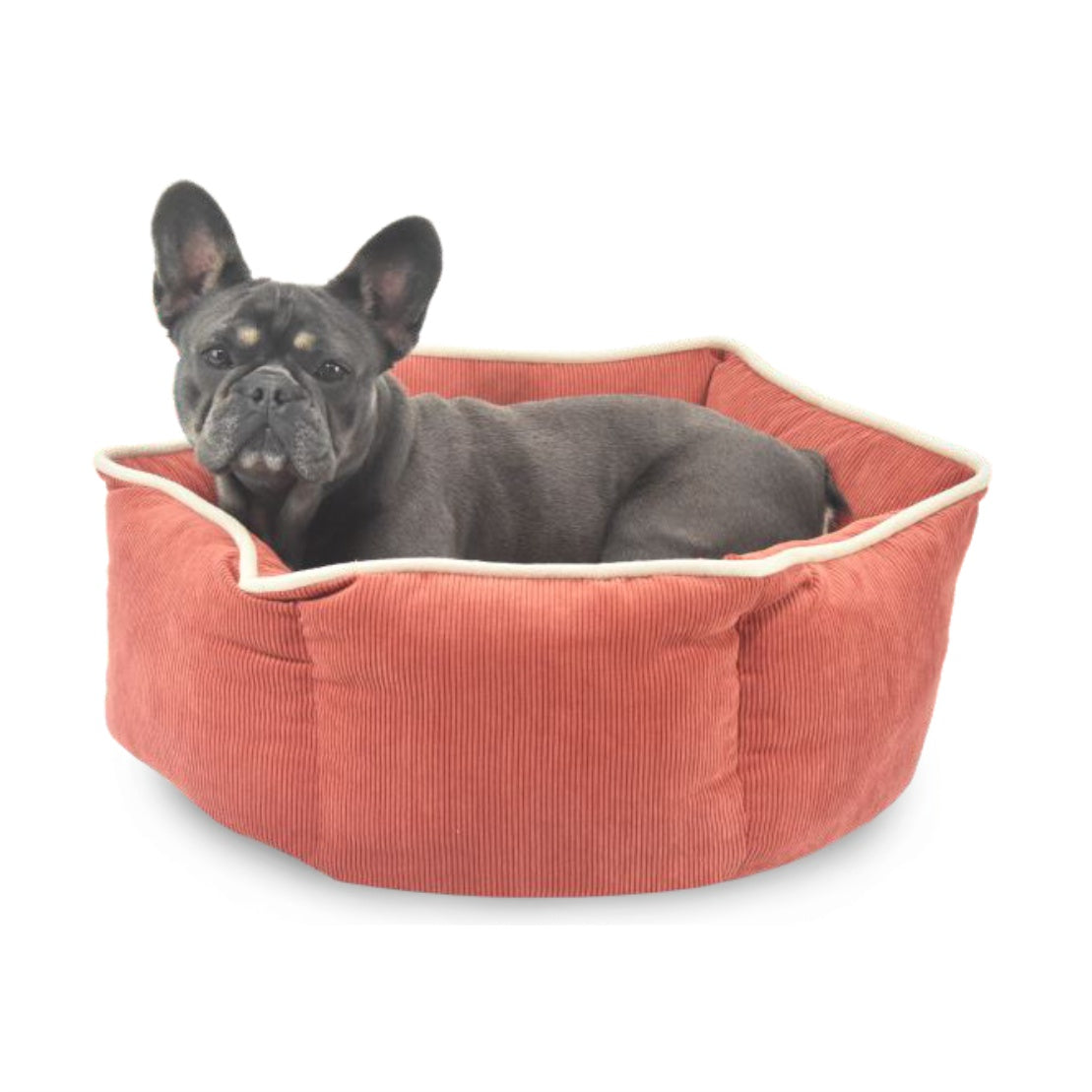 Cama para Cachorro Ferpa Pets Veludo Mostarda 56x23cm