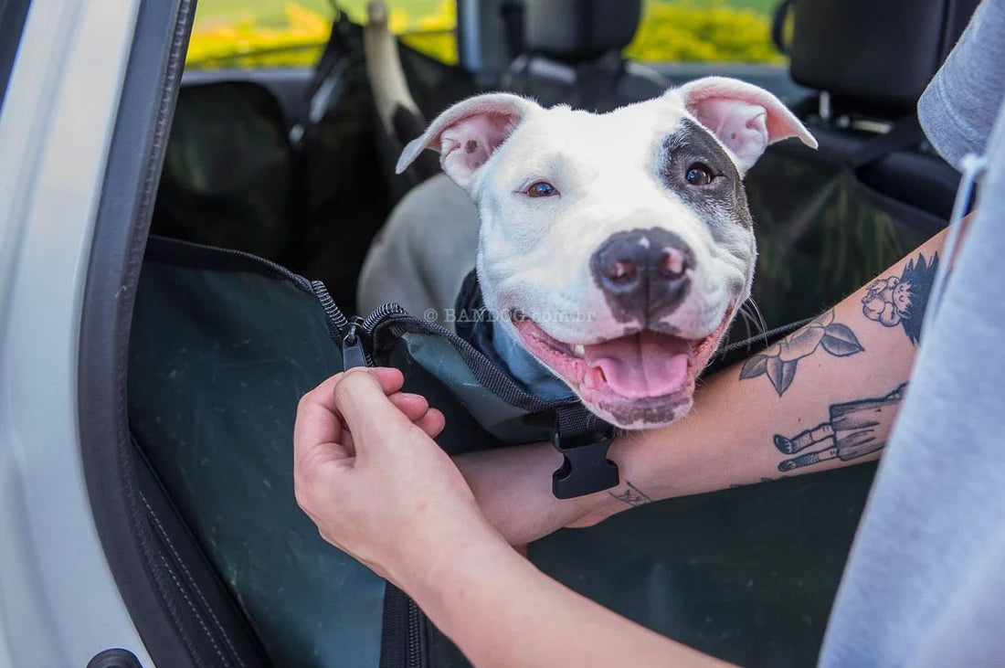 Capa de Proteção Bandog para Banco de Carro Preta