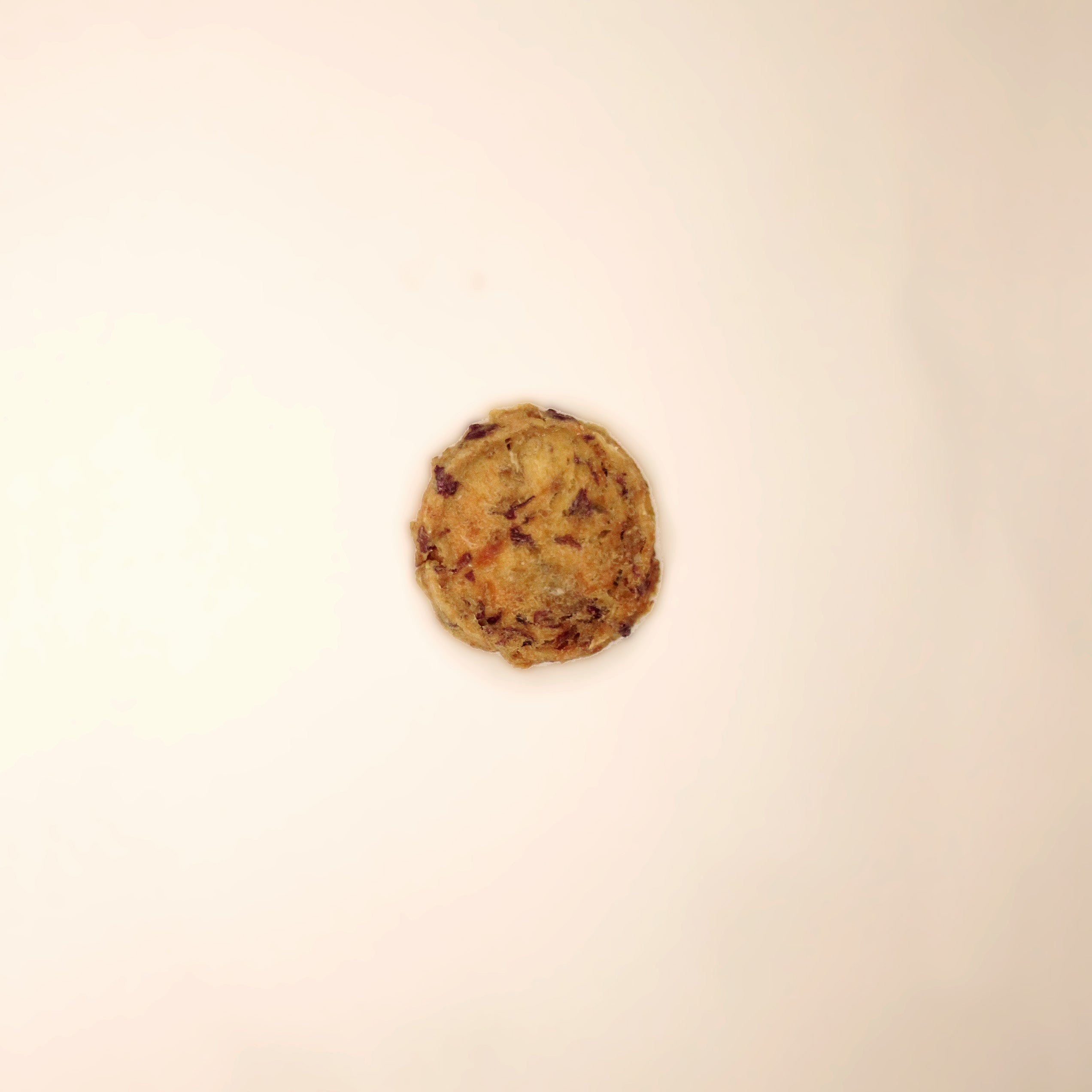 Petisco Natural Cão Nutri Chips Carne com Batata Doce 60g