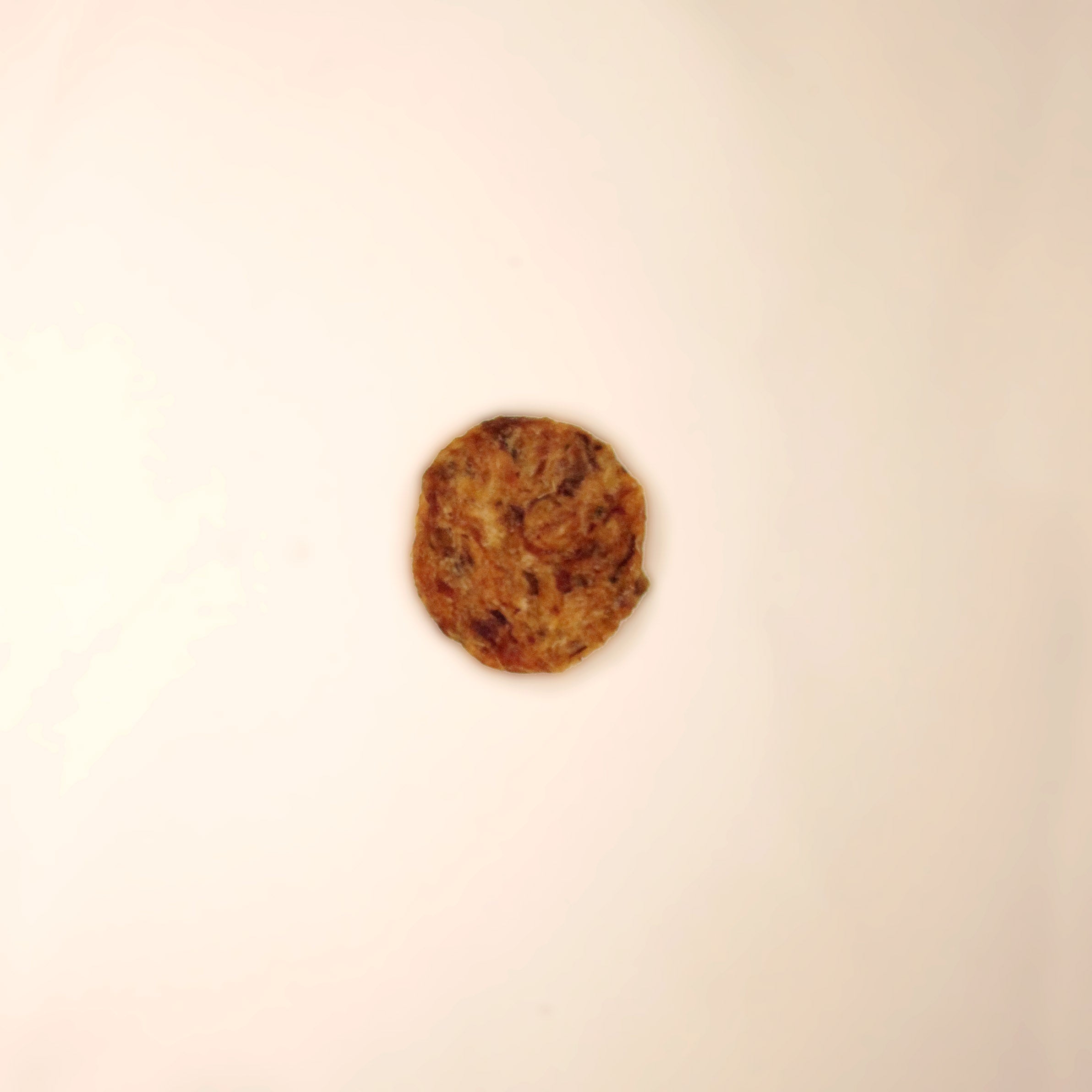 Chips Cão Nutri de Filé Mignon Suíno com Batata Doce 500g