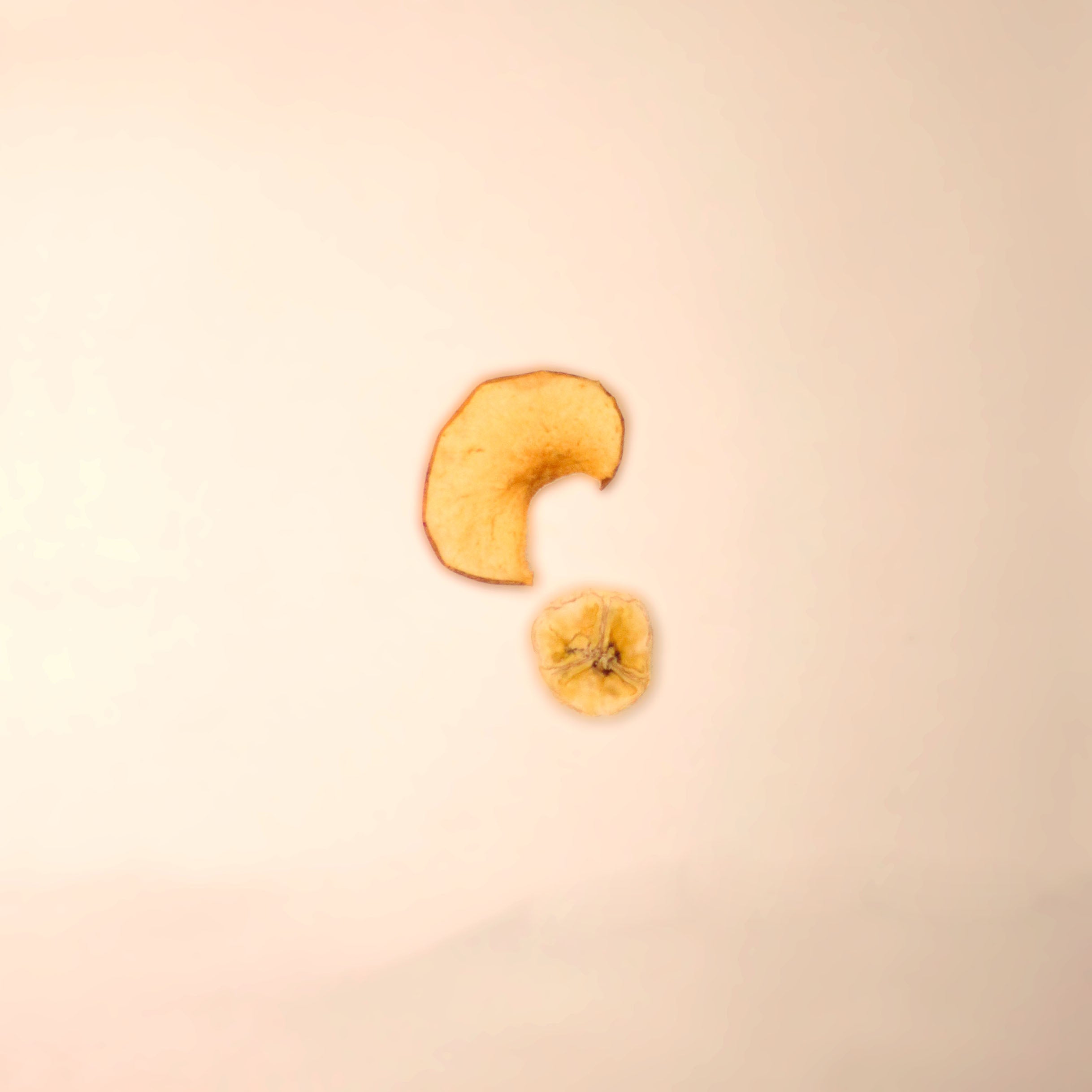 Petisco Natural Cão Nutri Desidratados Mix de Frutas Banana e Maçã 40g