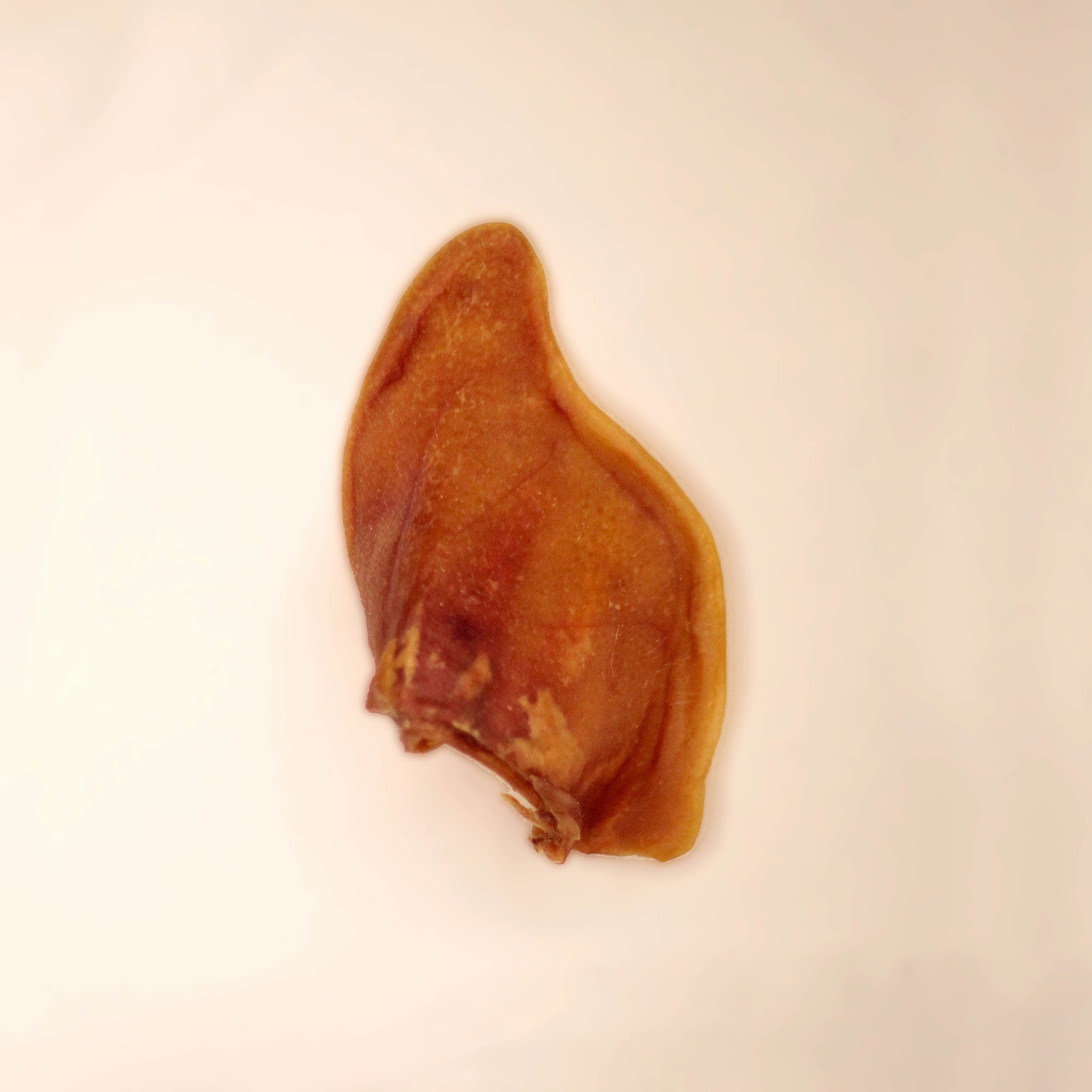 Petisco Natural para Cães Cão Nutri Orelha Suína 2 unidades