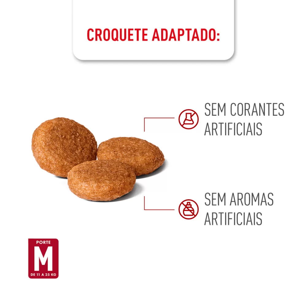 Combo Ração Royal Canin Medium Adult 12kg 2 unidades