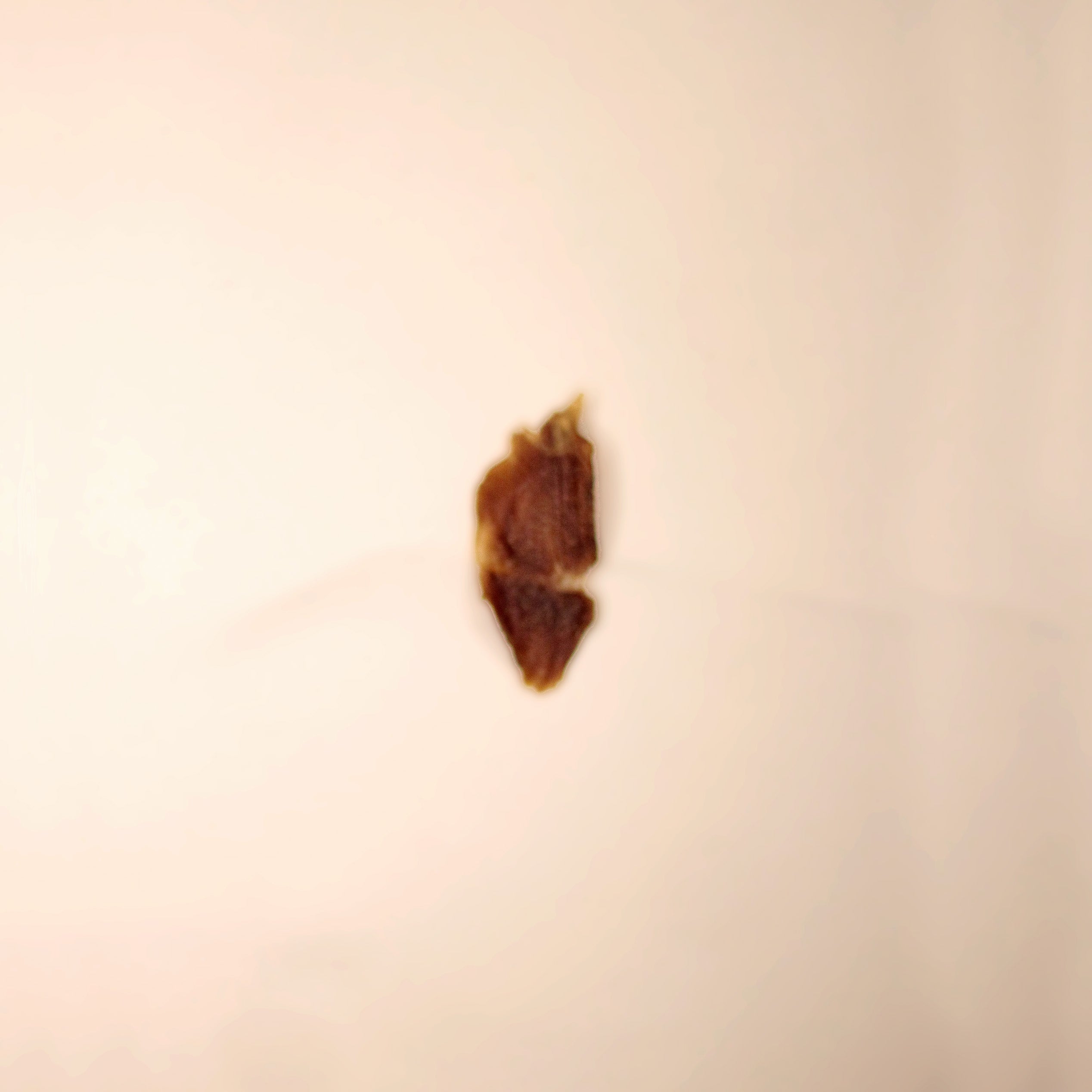 Petisco Natural Cão Nutri Snacks Desidratados Moela 60g