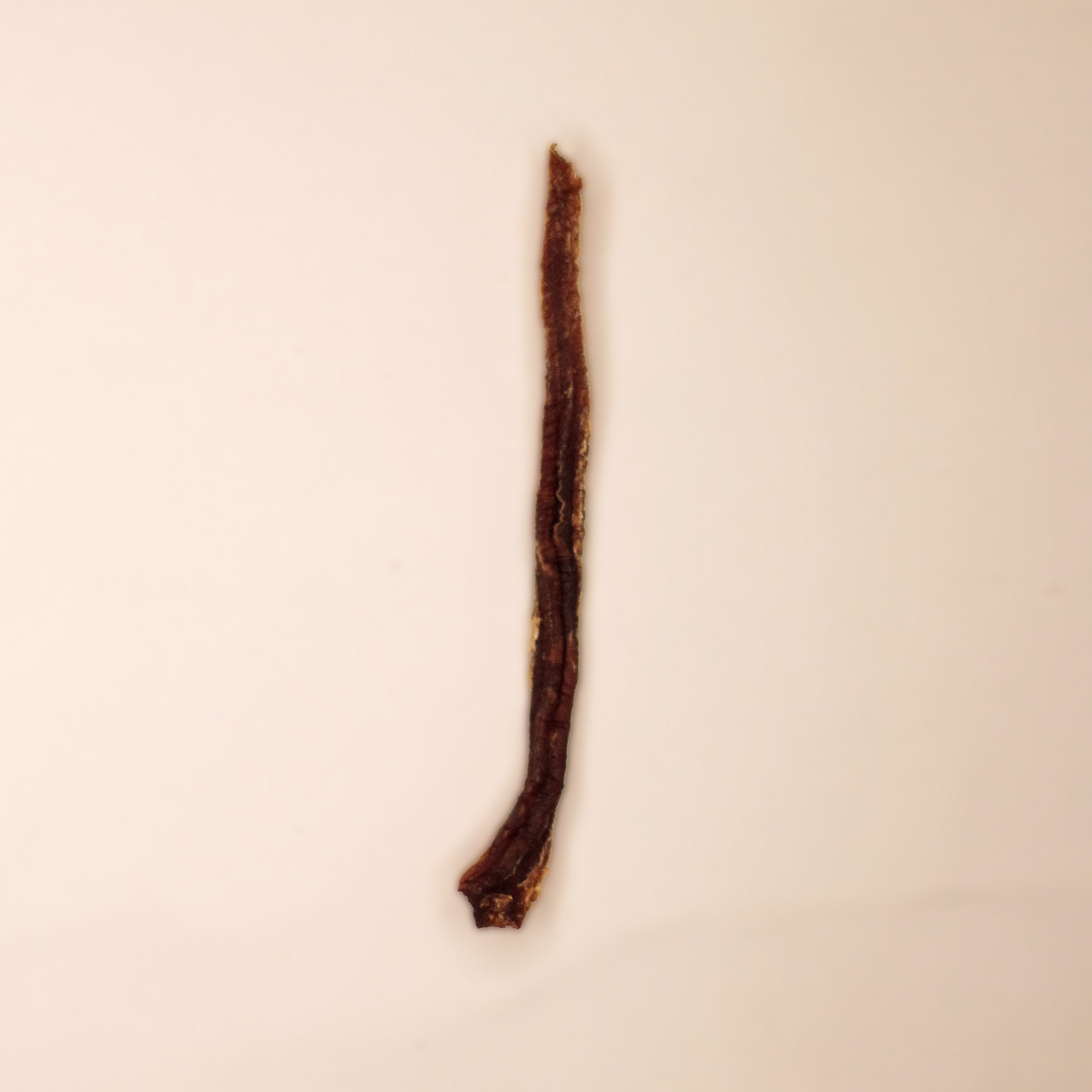 Petisco Natural Cão Nutri Sticks Desidratados Carne 60g