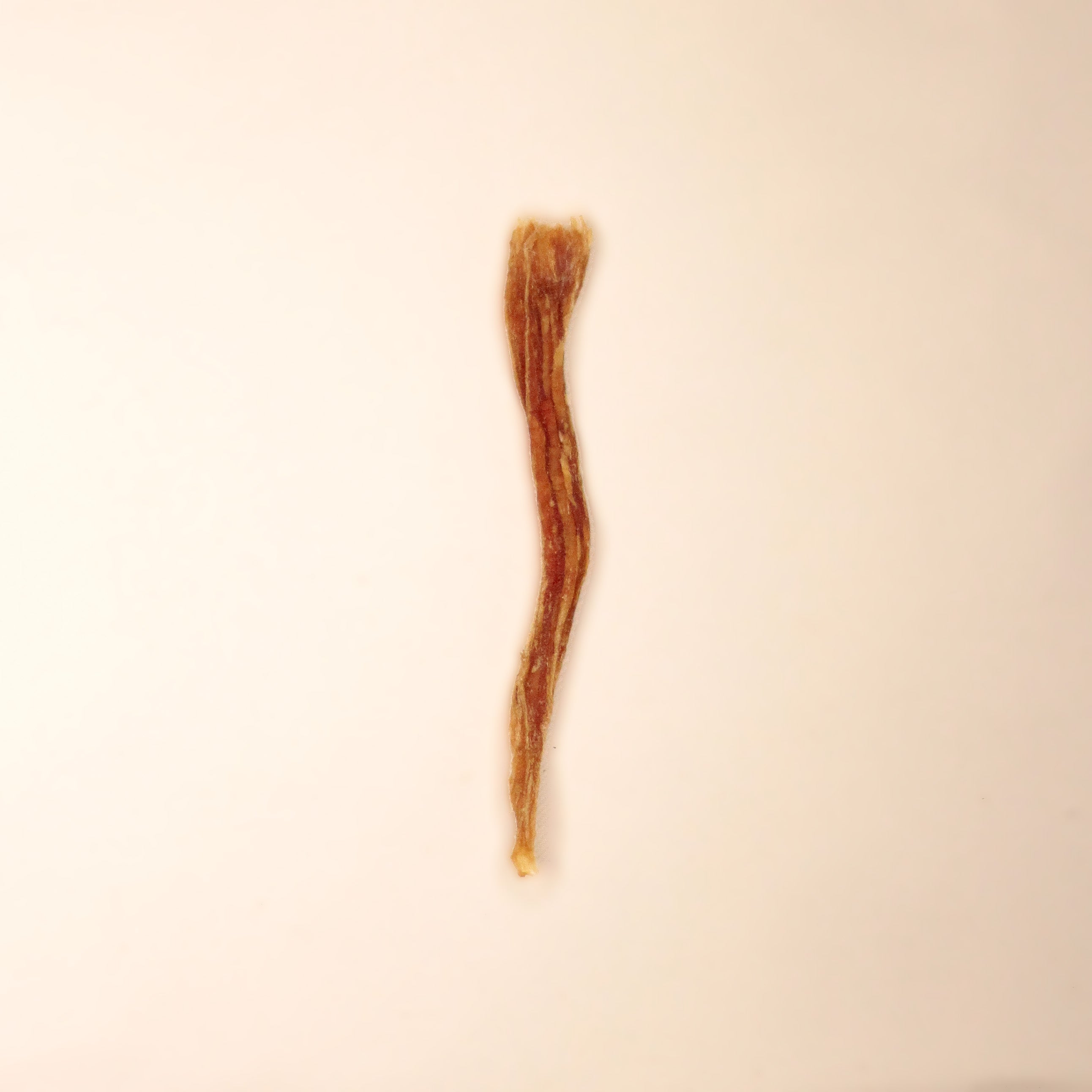 Petisco Natural Cão Nutri Sticks Desidratados Filé Mignon Suíno 60g