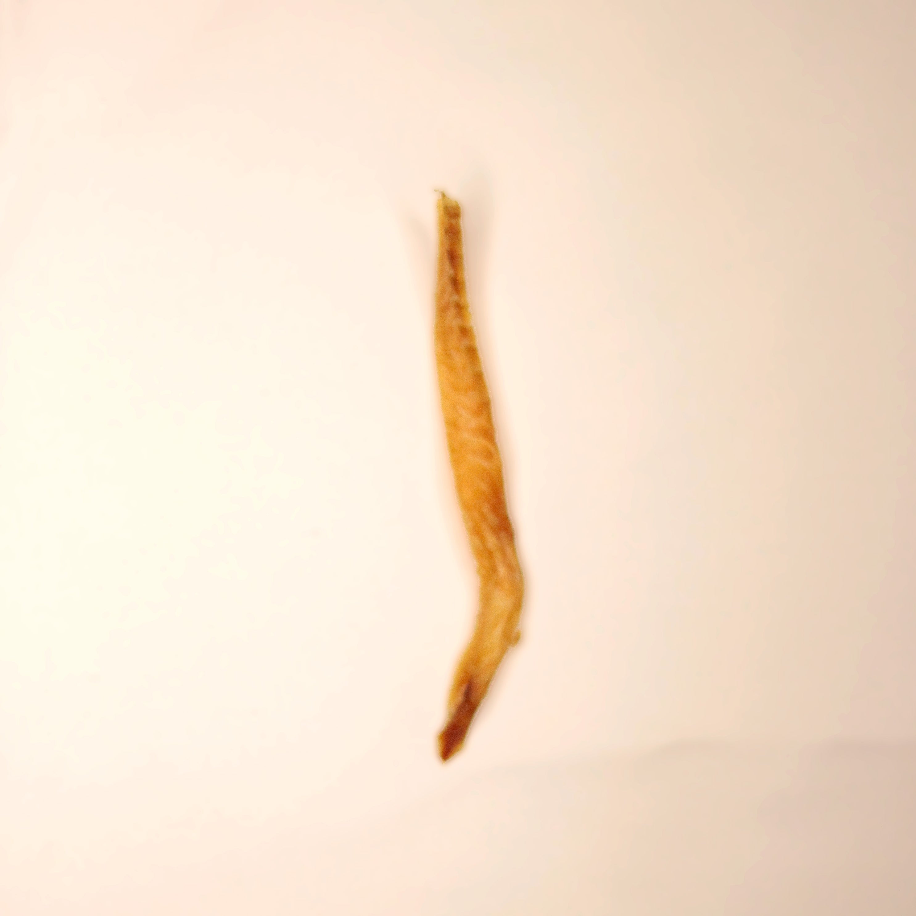 Petisco Natural Cão Nutri Sticks Desidratados de Tilápia 60g