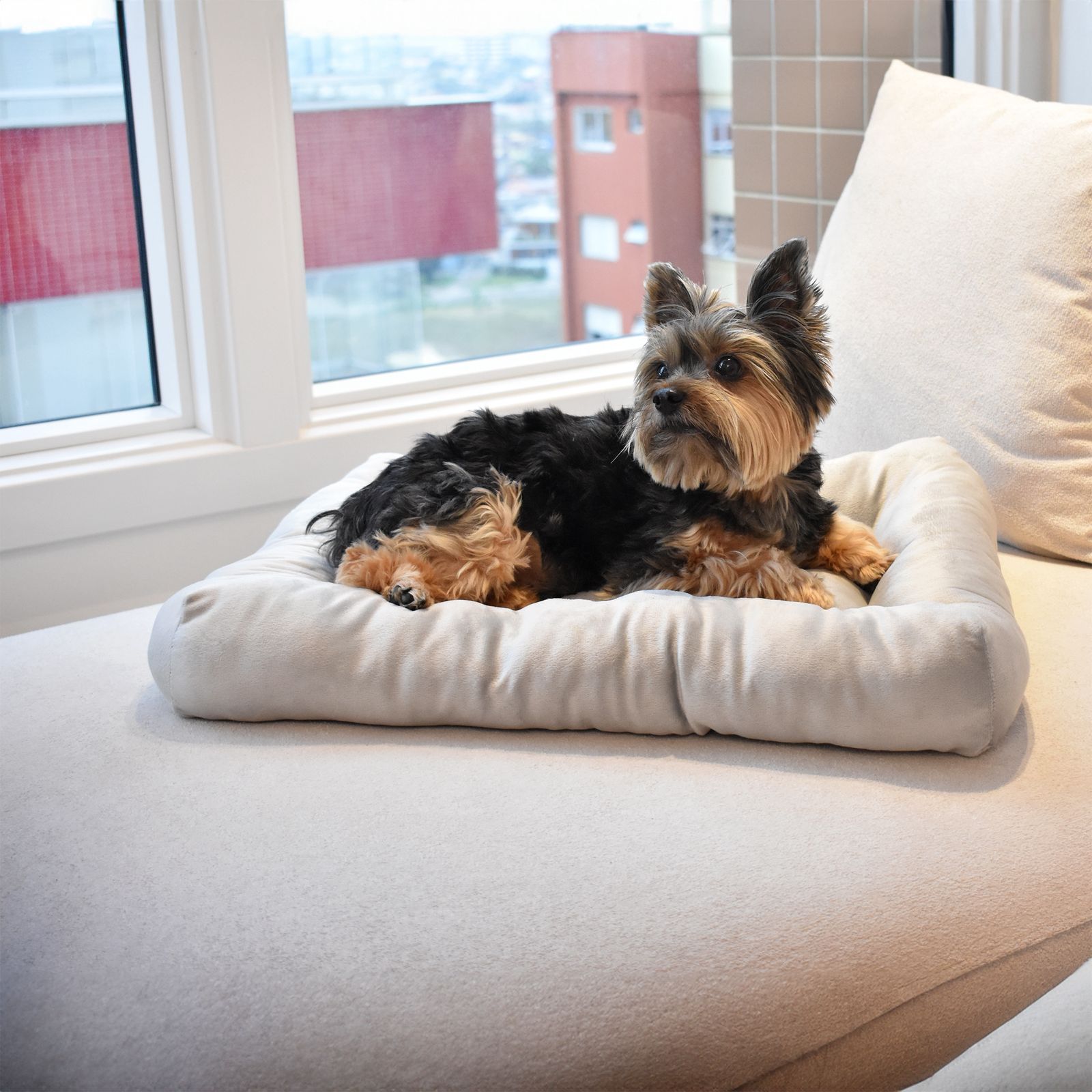 Cama para Cachorro Ferpa Pets Colchonete Quadrado Prata G