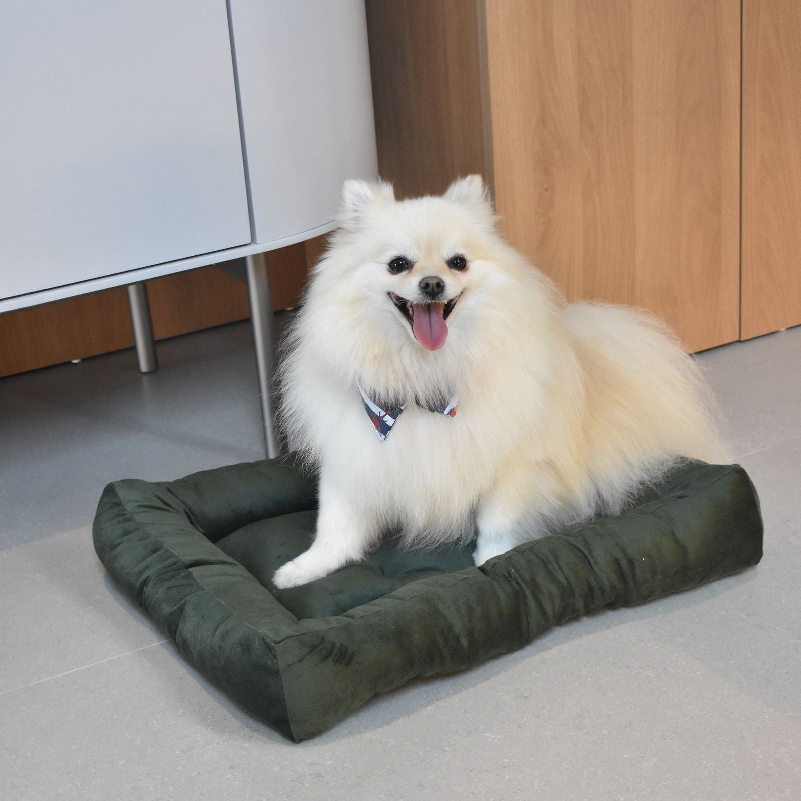 Cama para Cachorro Ferpa Pets Colchonete Quadrado Verde Escura G