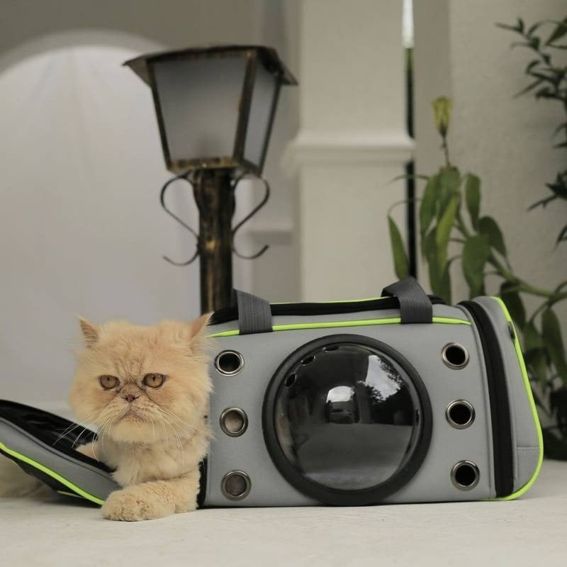 Bolsa de Transporte Distripet Titan Verde