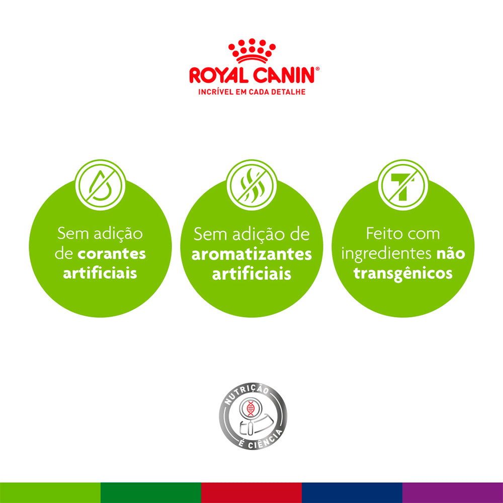 Ração Royal Canin Mini Indoor Adult Cães 2,5kg