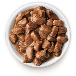 Alimento Úmido Special Cat Ultralife Gatos Adultos Cordeiro 85g
