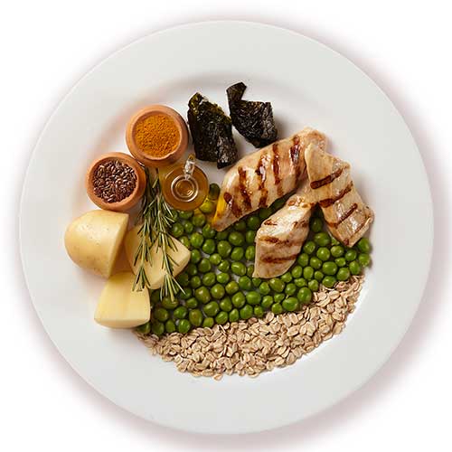 Alimento Natural Pet Delícia Cães Jardineira de Frango 320g