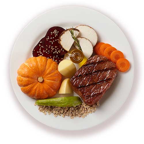 Alimento Natural Pet Delícia Cães Dieta Hipercalórica 320g