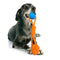 Brinquedo para Cachorro Jambo Interact Dupla Azul