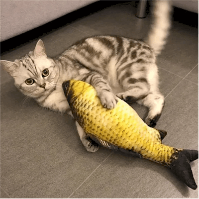 Brinquedo para Gato Peixe Mexe Mexe