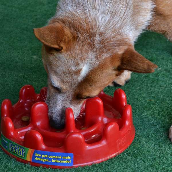 Comedouro Lento PetFit Pet Games Fibra de Coco