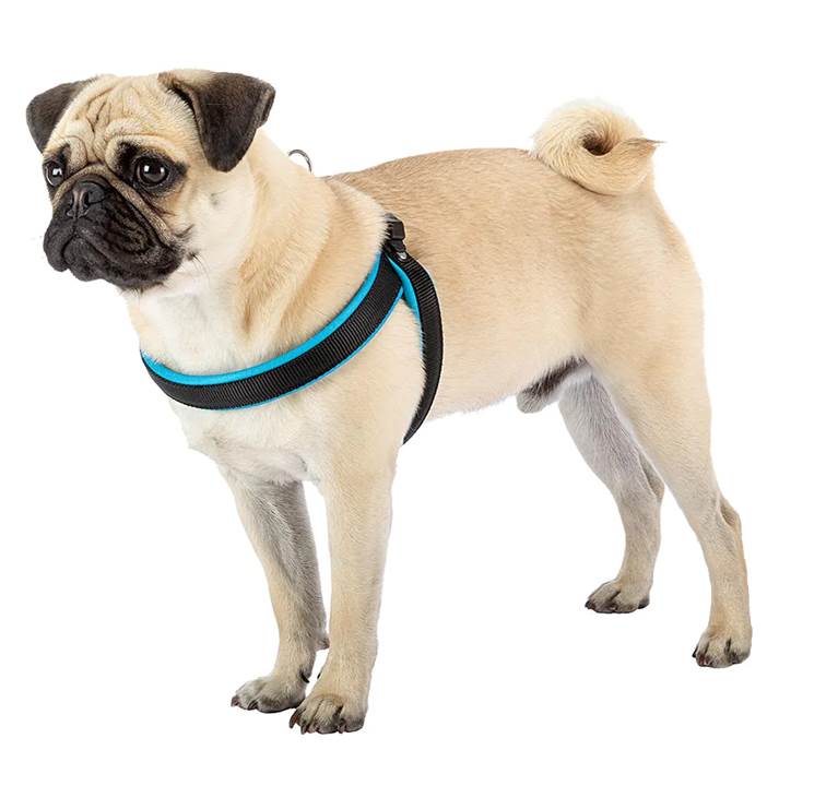 Peitoral Ferplast Agila Fluo 4 Azul