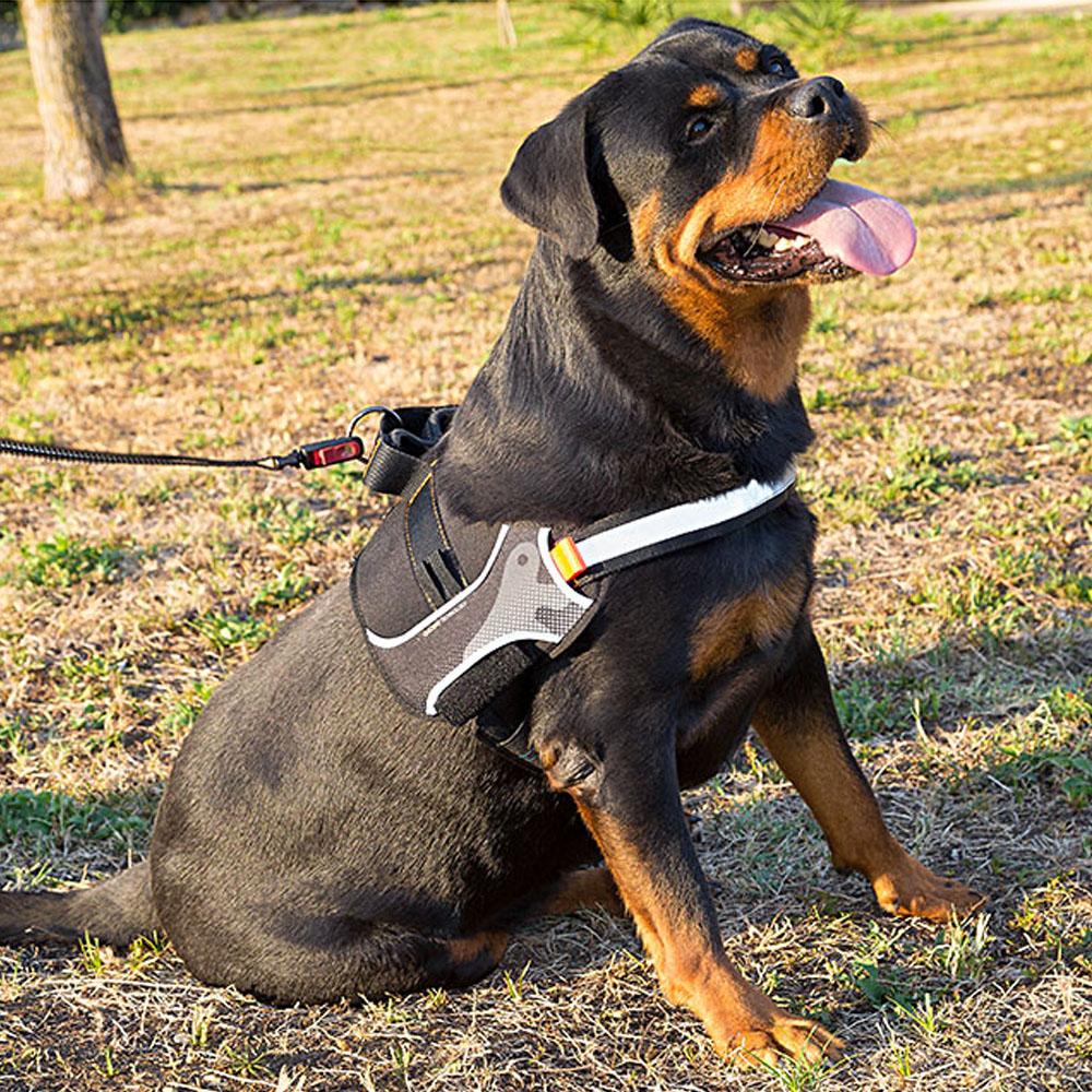 Peitoral Ferplast Hercules Preto XGG