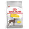 Ração Royal Canin Maxi Dermacomfort Cães 10kg