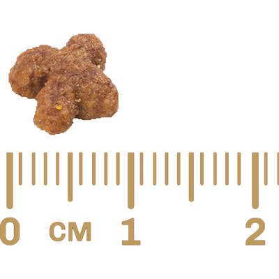 Ração GranPlus Gatos Adultos Salmão 3kg