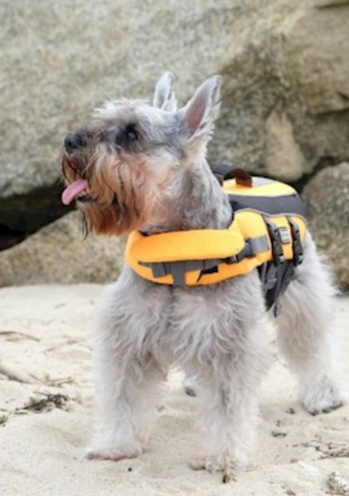 Colete Salva Vidas Petzim Rosa PP