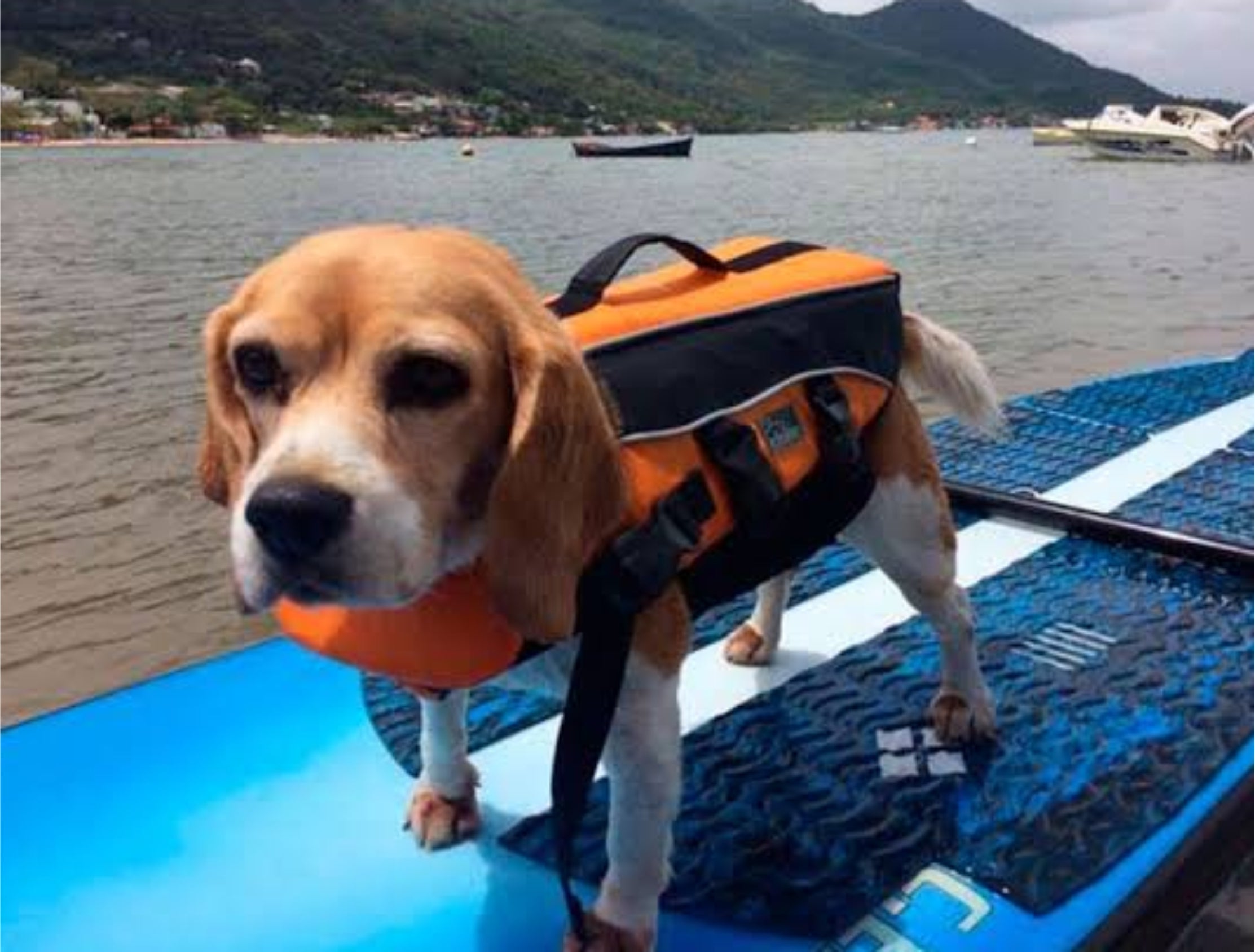 Colete Salva Vidas Petzim Rosa PP